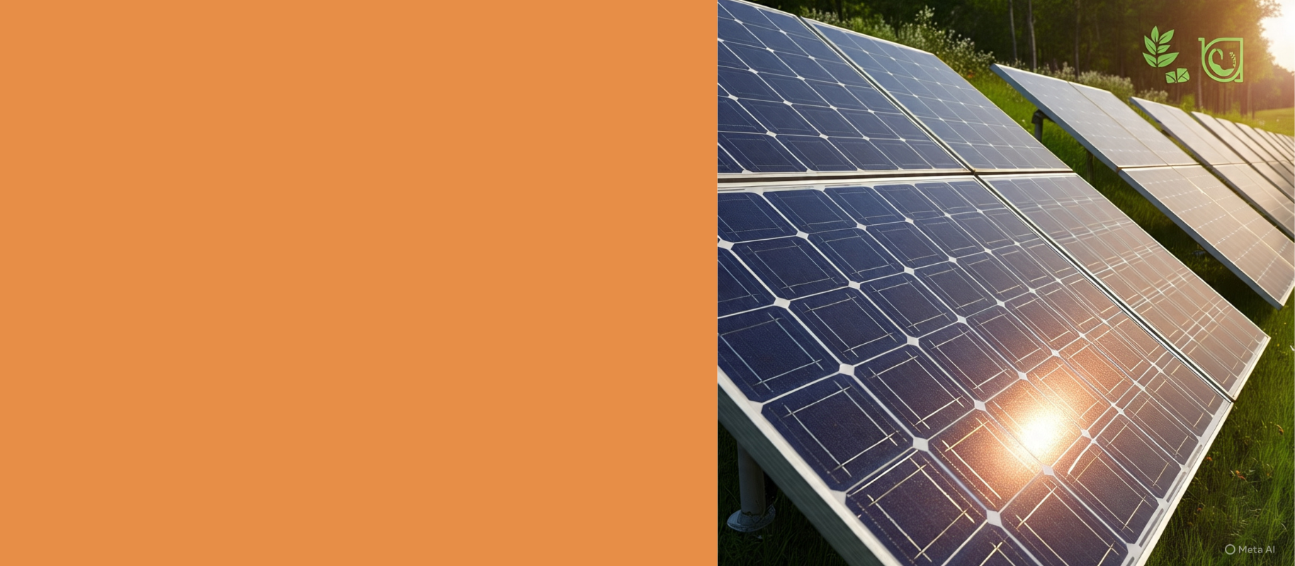 Bringing affordable, renewable power